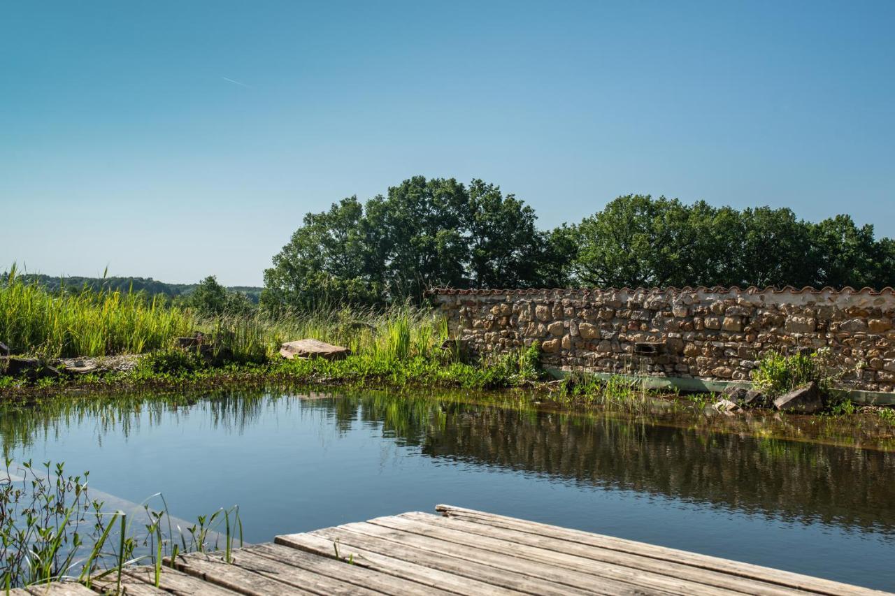 Le Domaine De Langlardie Soudat 外观 照片