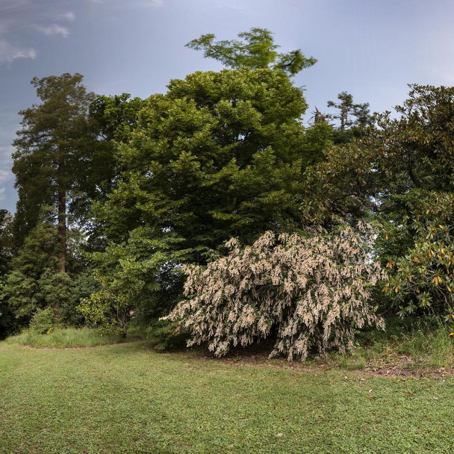 Le Domaine De Langlardie Soudat 外观 照片
